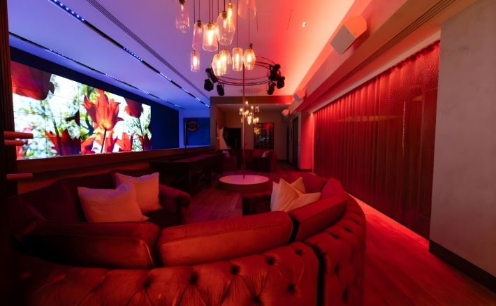 giải pháp âm thanh cao cấp cho không gian giải trí gia đình tại Việt Nam