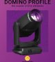 domino-profile-2